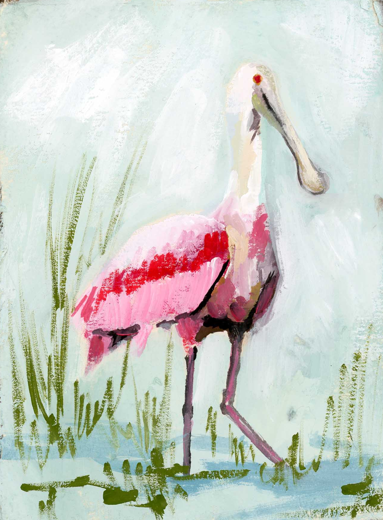 Patunia Spoonbill
