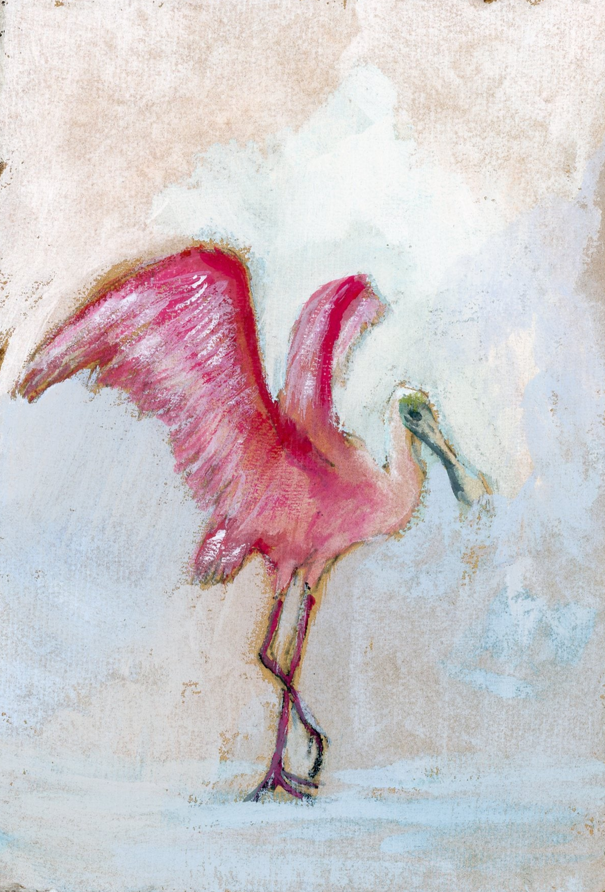 Pollyanna spoonbill
