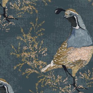Calli Quail- 4 pack sample.