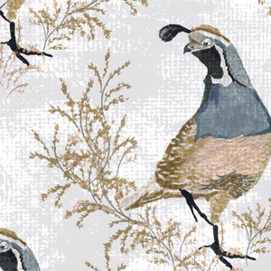 Calli Quail- 4 pack sample.