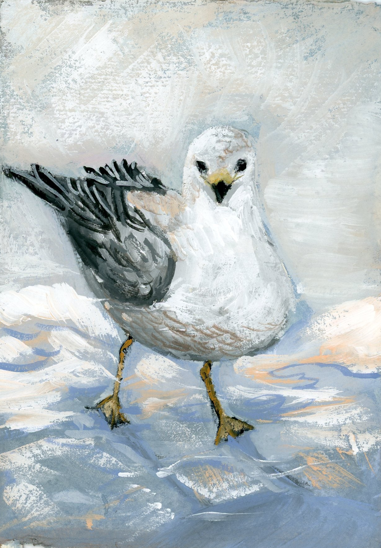 Quill Seagull