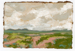 Ridgeland Marsh