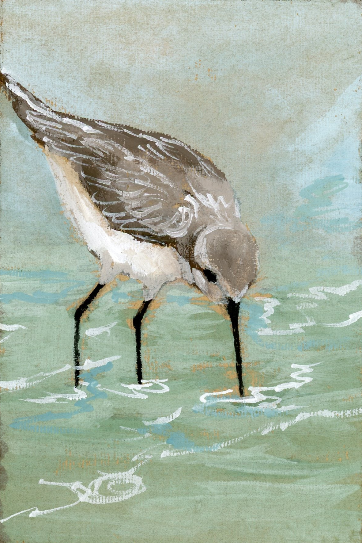 Savannah Sandpiper