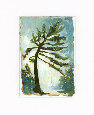 Southern Pine