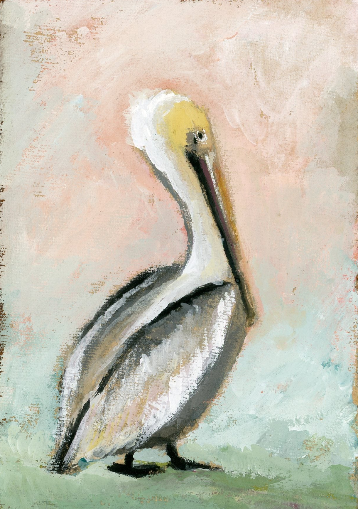Thompson Pelican