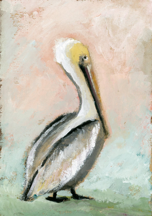 Thompson Pelican