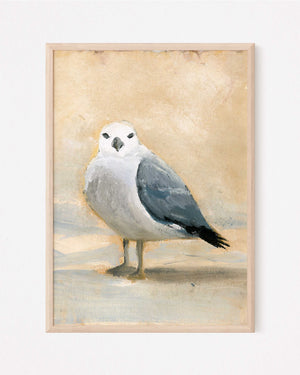 Timmy, a Seagull Vertical Print
