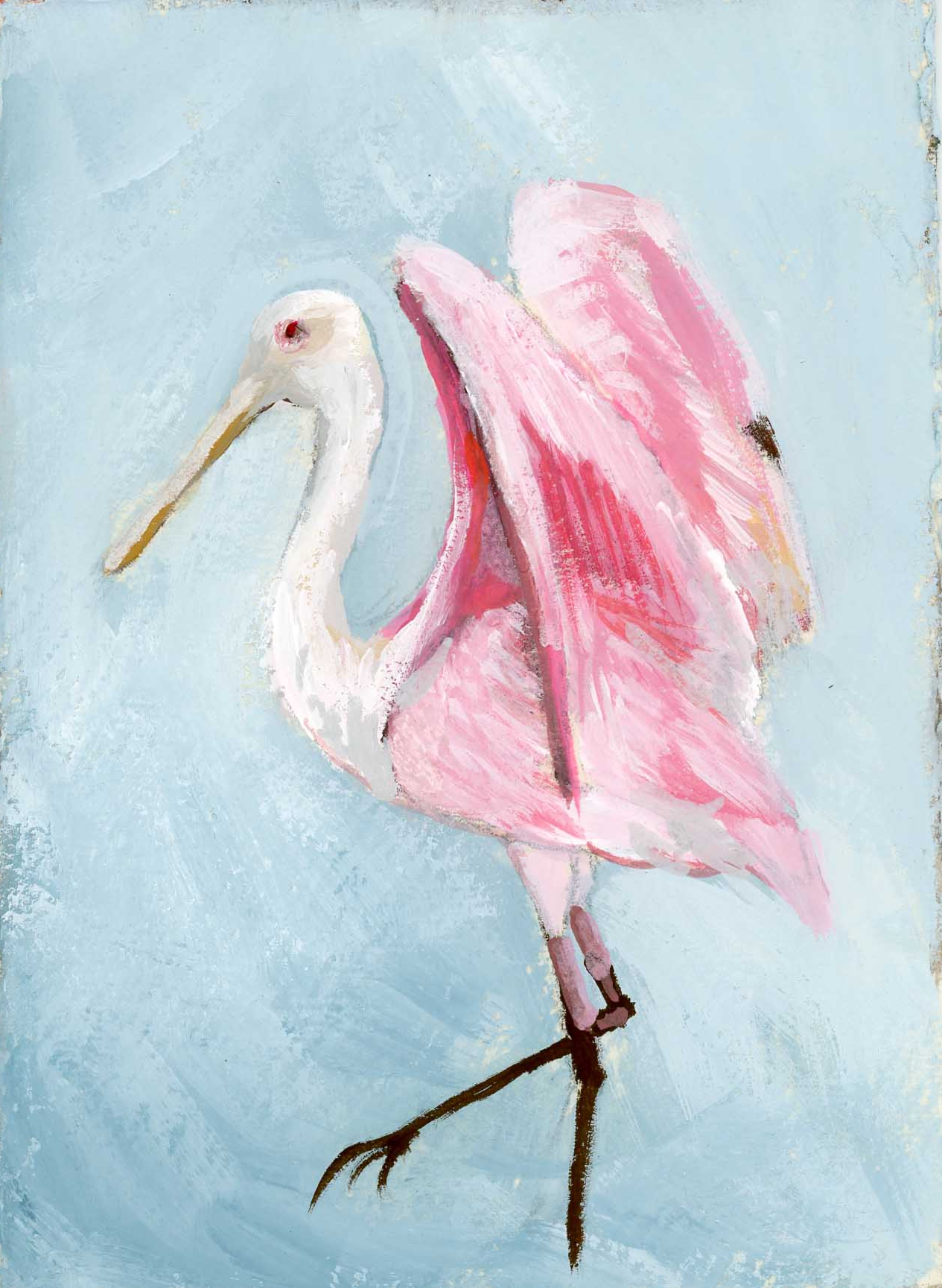 Violet Spoonbill