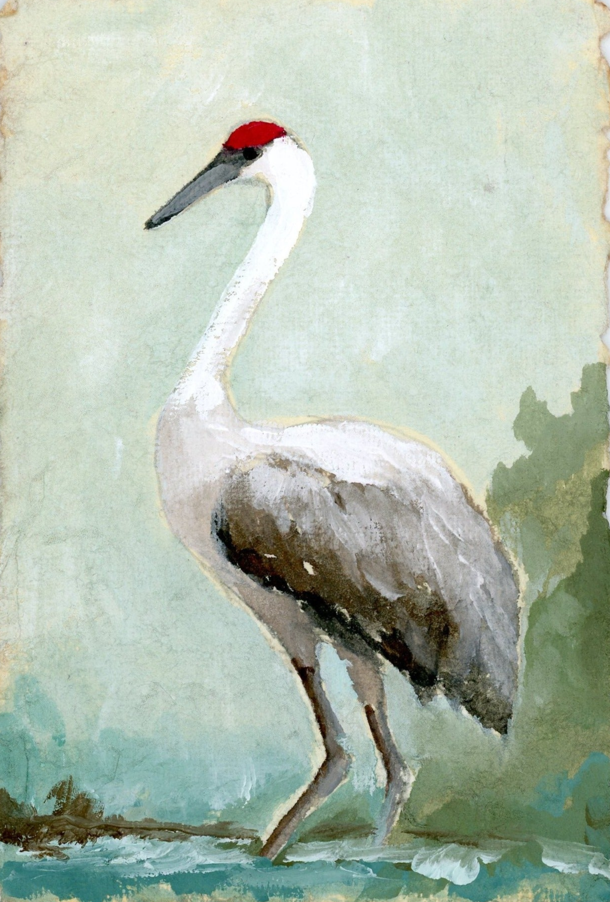 Walker Crane