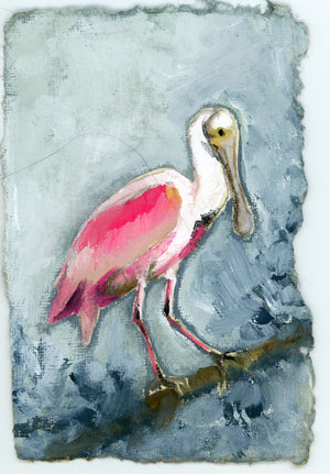 Willow a Roseate Spoonbill