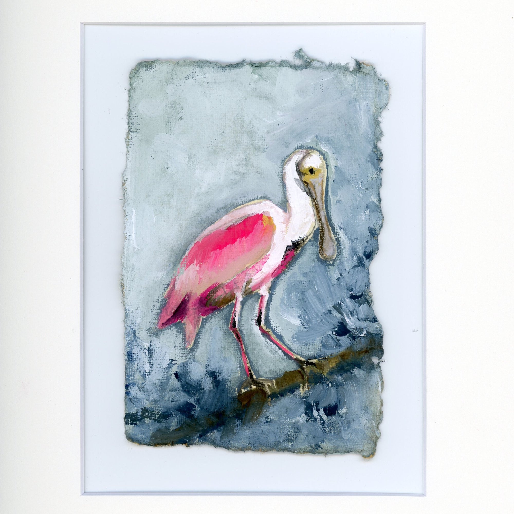 Willow a Roseate Spoonbill