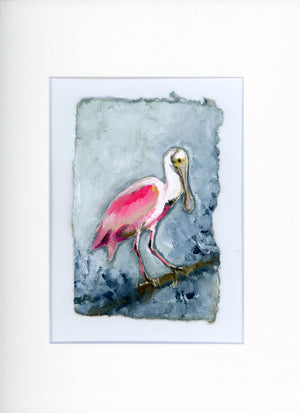 Willow a Roseate Spoonbill
