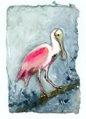 Willow, Roseate Spoonbill - Giclee Print