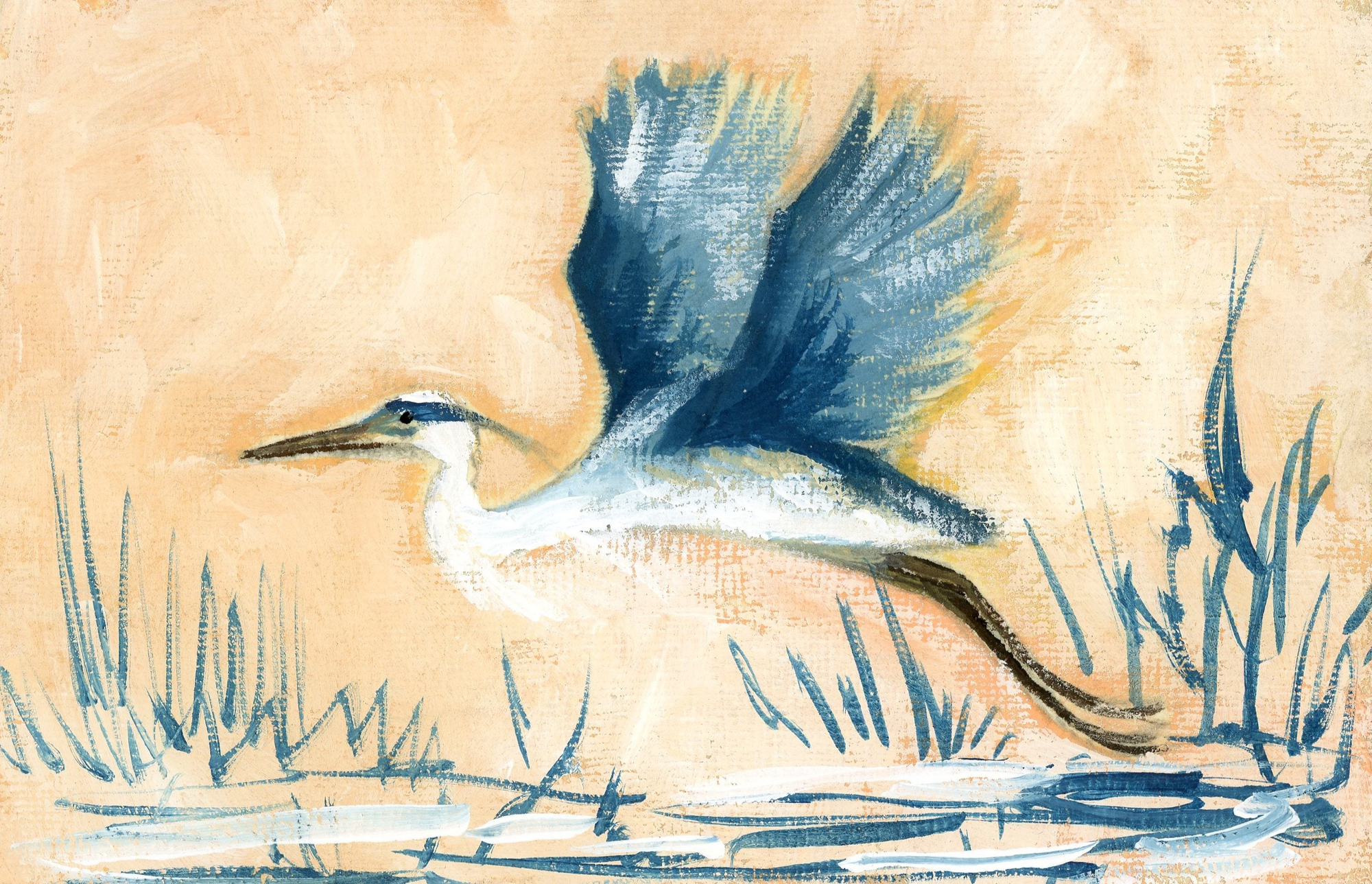 Benedict Heron
