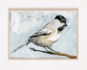 Black Chapped Chickadee - Giclee Print