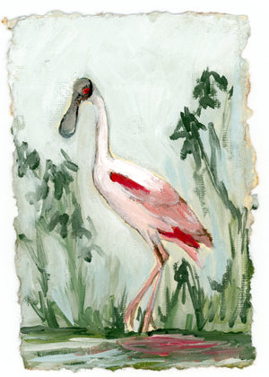 Cynthia, Roseate Spoonbill - Giclee Print