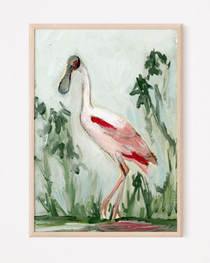 Cynthia, Roseate Spoonbill - Giclee Print