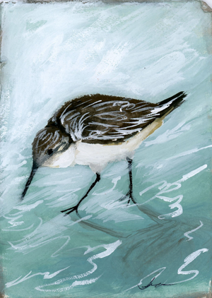 Danielle Sandpiper