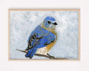 Eastern Bluebird - Giclee Print