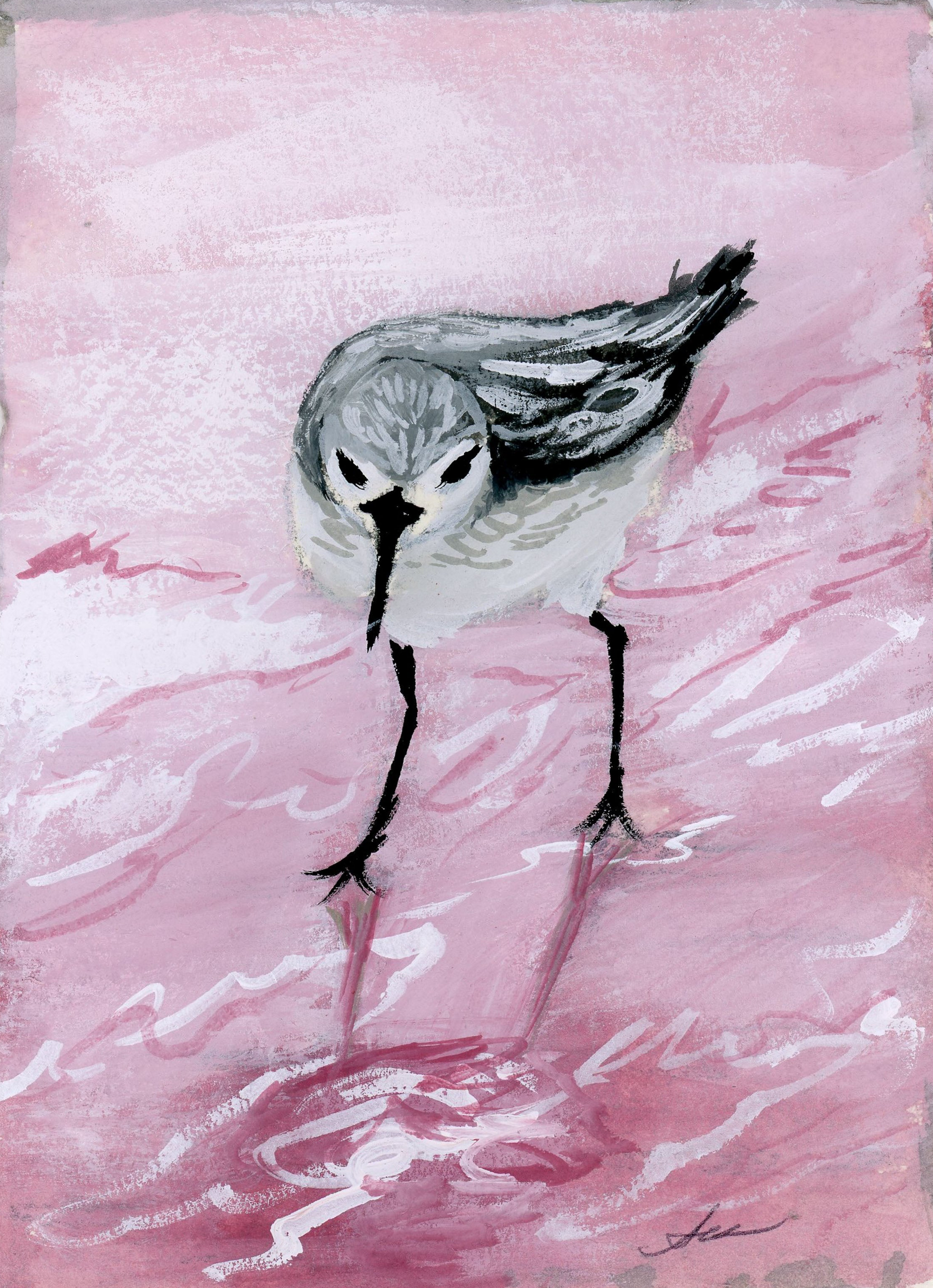 Hamilton Sandpiper