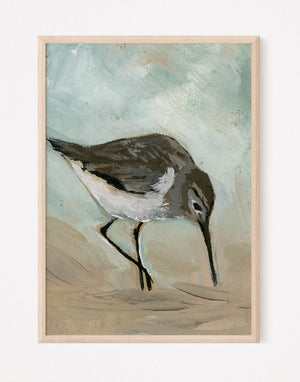 Harry, a Sandpiper Bird Vertical Print