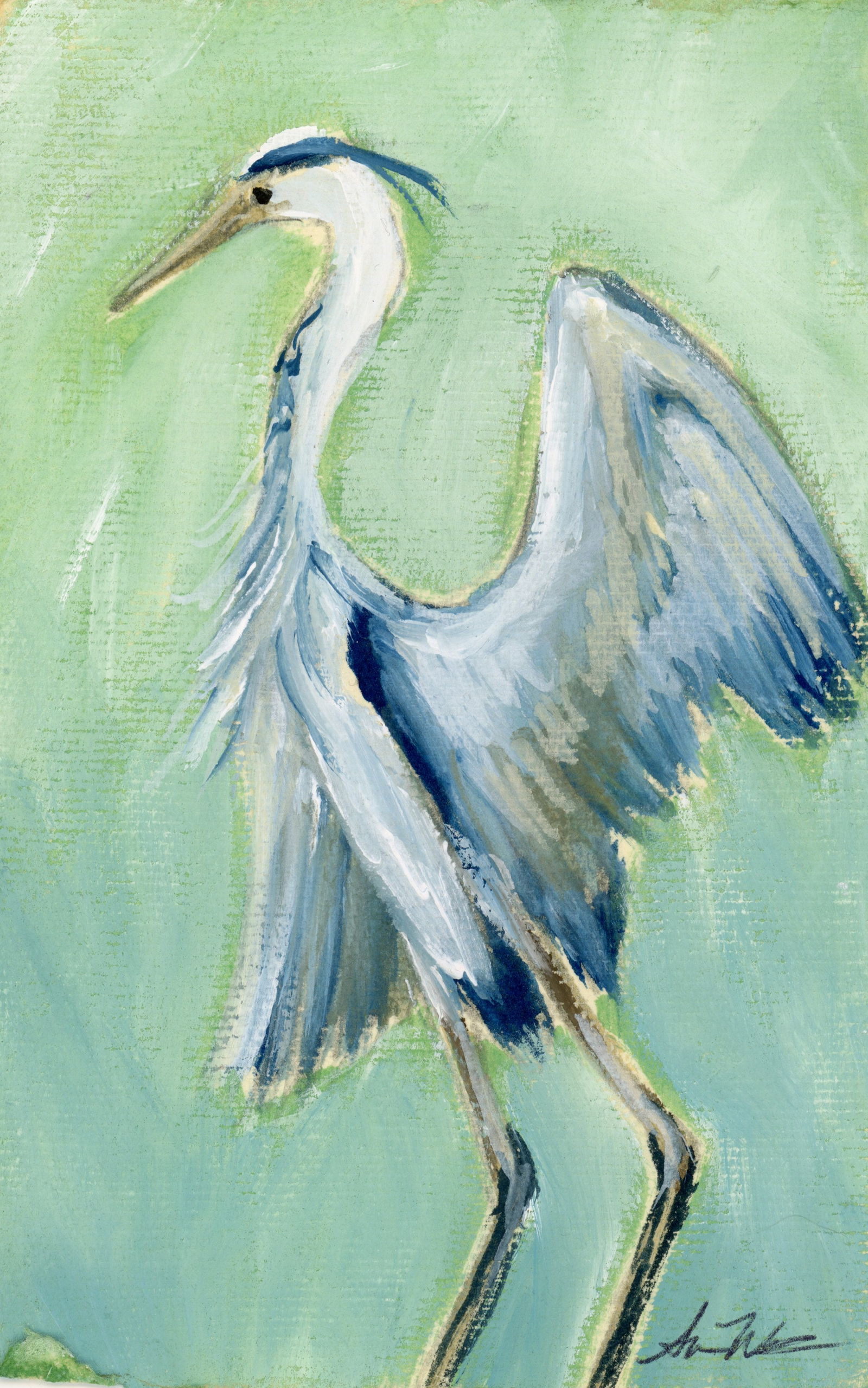Belmont Blue Heron