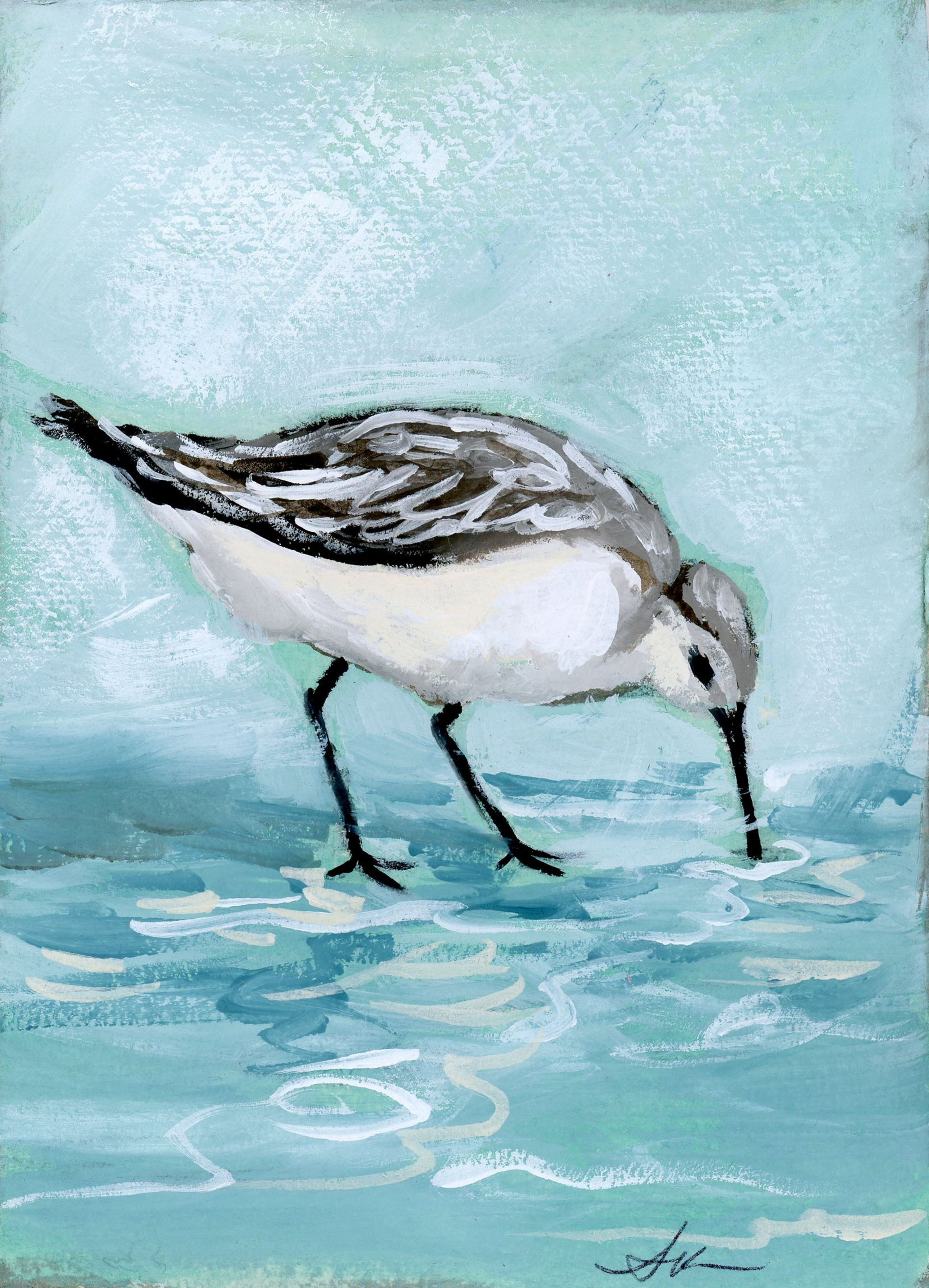 Jenny Sandpiper