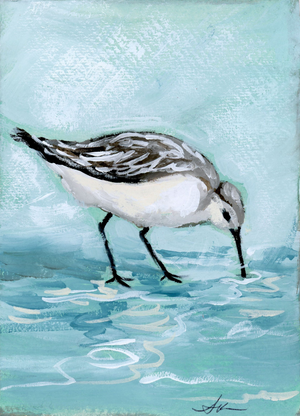 Jenny Sandpiper