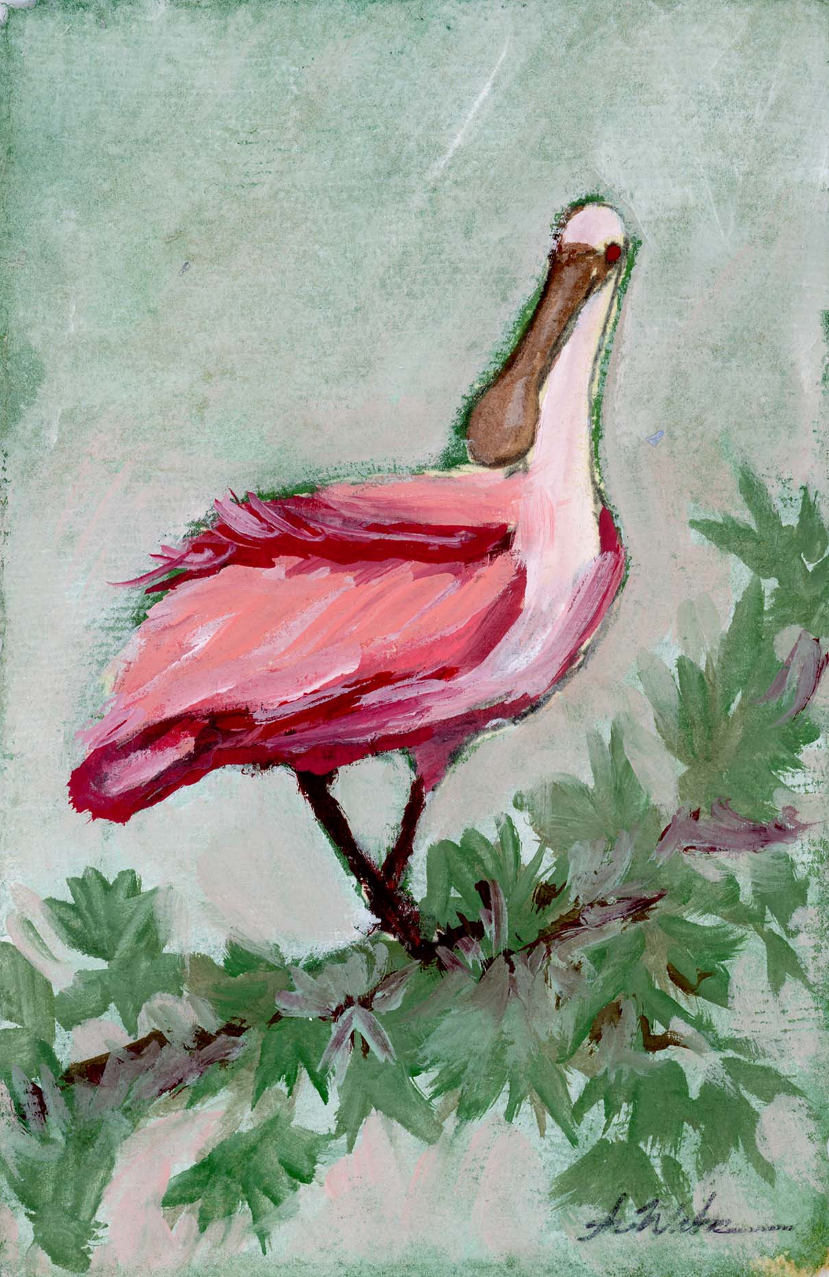 Lucy Spoonbill