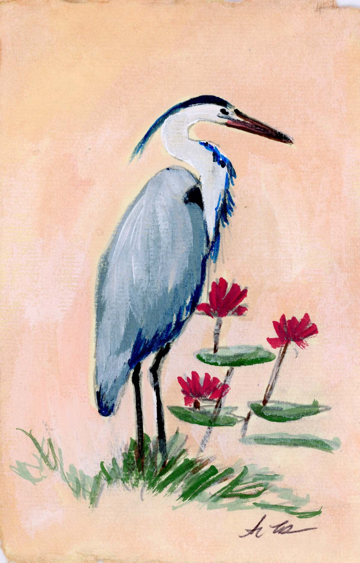 Alexandra Blue Heron