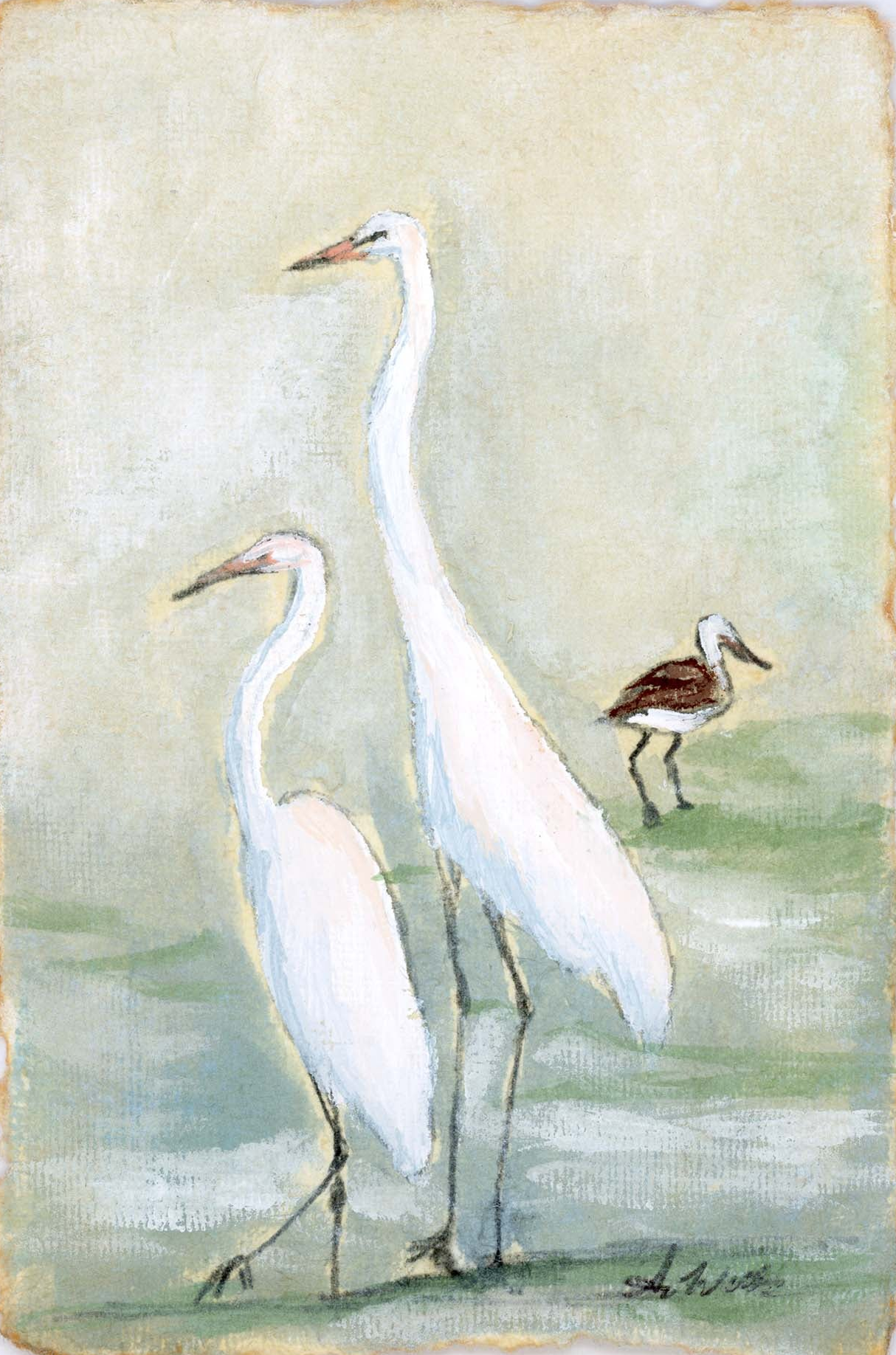 Egret Crossing