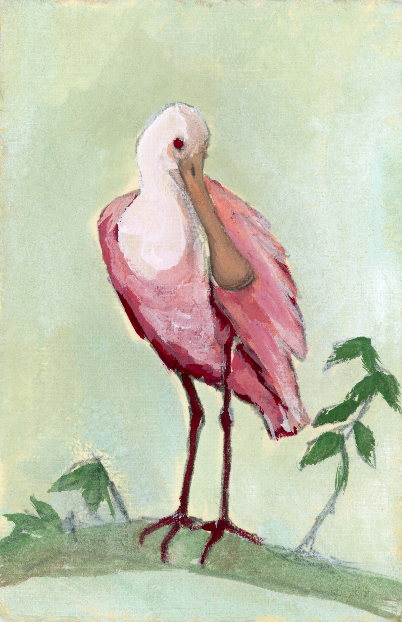 Prissy, a Roseate Spoonbill Vertical Print