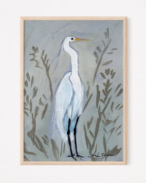 Sweet Pea, White Egret - Giclee Print