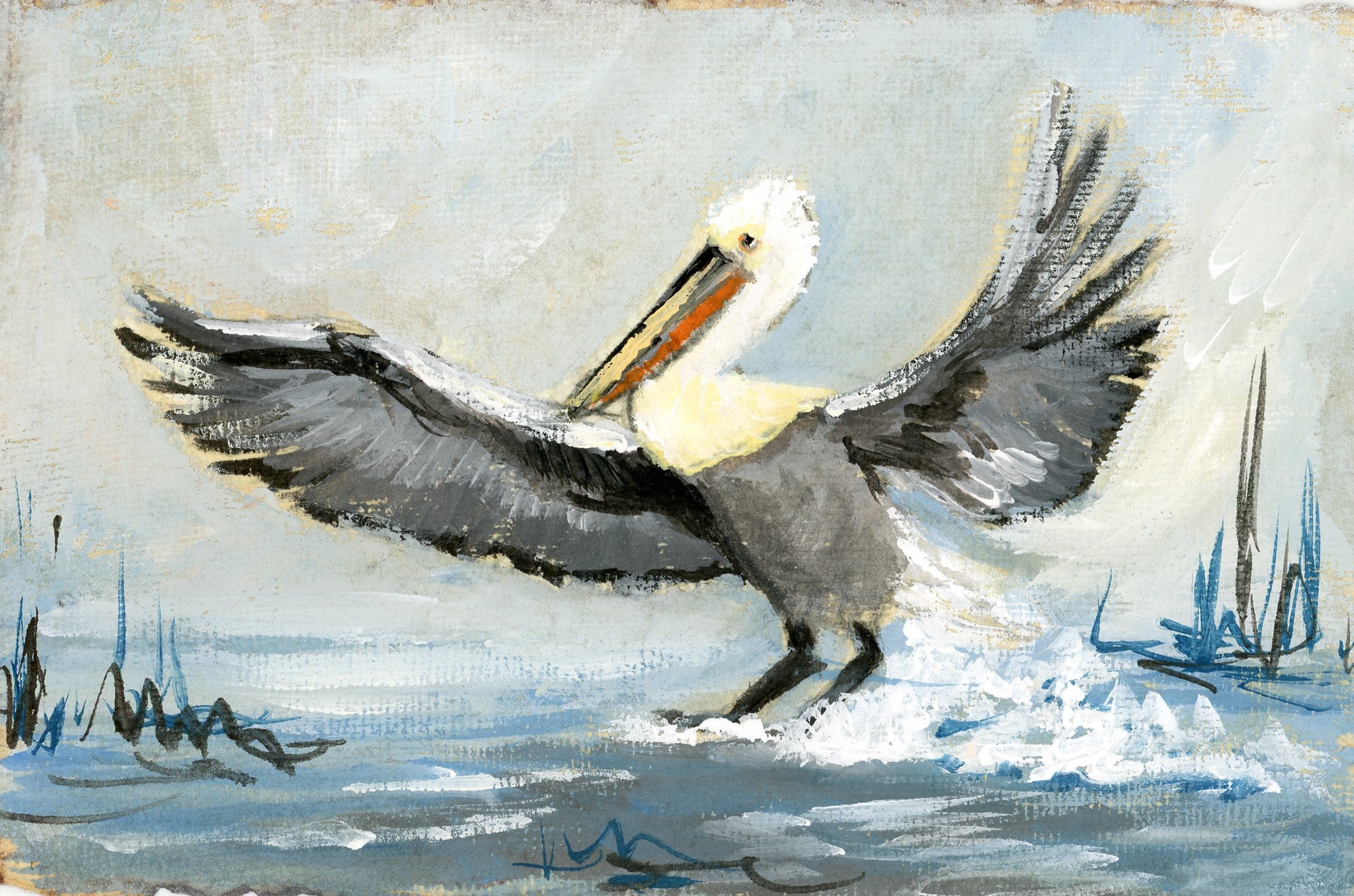 Walter Pelican