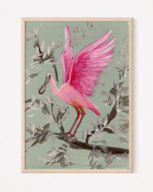 Willow Grace, Roseate Spoonbill - Giclee Print