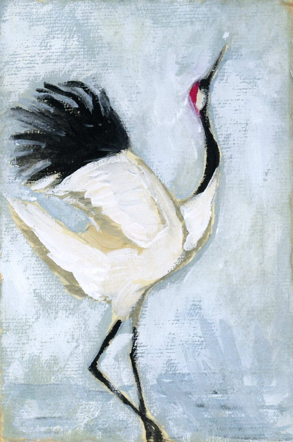 Winter a Whooping Crane