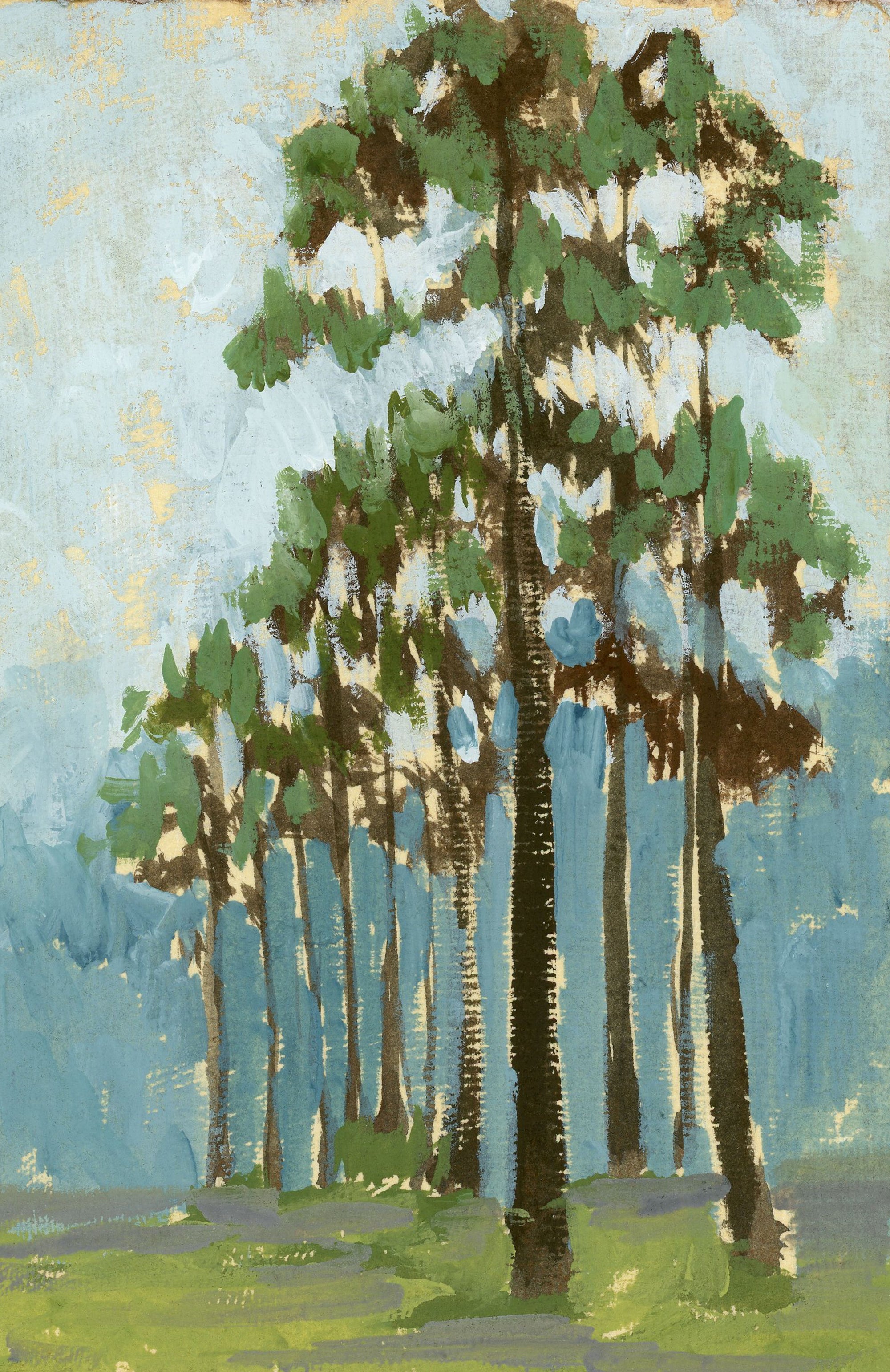 Yellow Pine