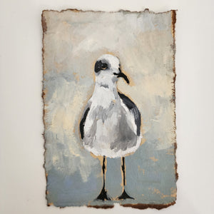 Little Sam the Seagull