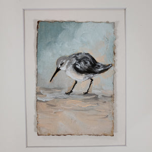 Lilly Sandpiper