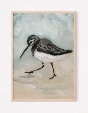 Benny a Sandpiper Vertical Print