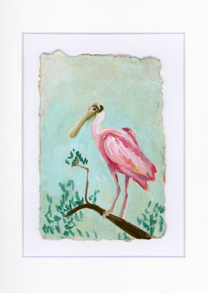Otis Spoonbill