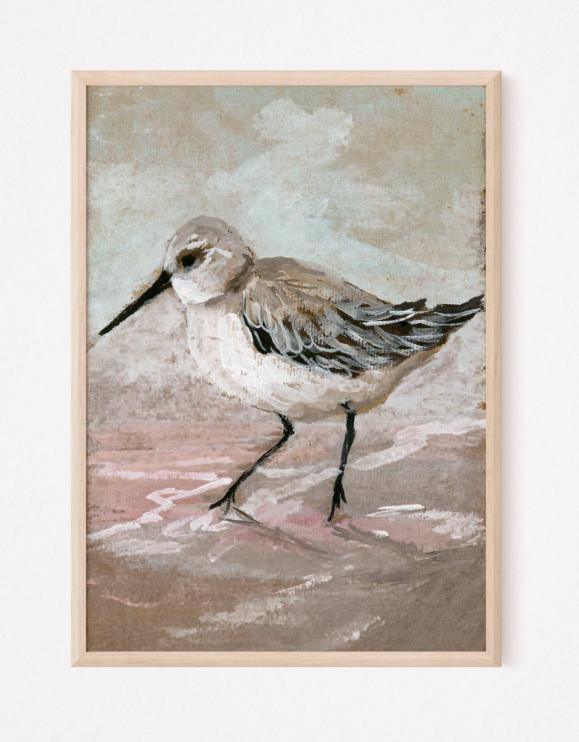 Luna, a Sandpiper Vertical Print