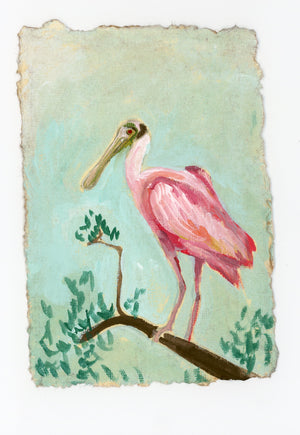 Otis Spoonbill