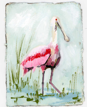 Patunia Spoonbill