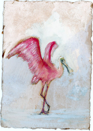 Pollyanna spoonbill