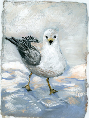 Quill Seagull