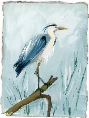 Sean Heron