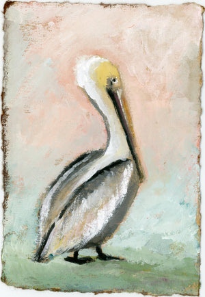 Thompson Pelican