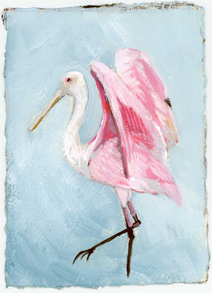 Violate Spoonbill