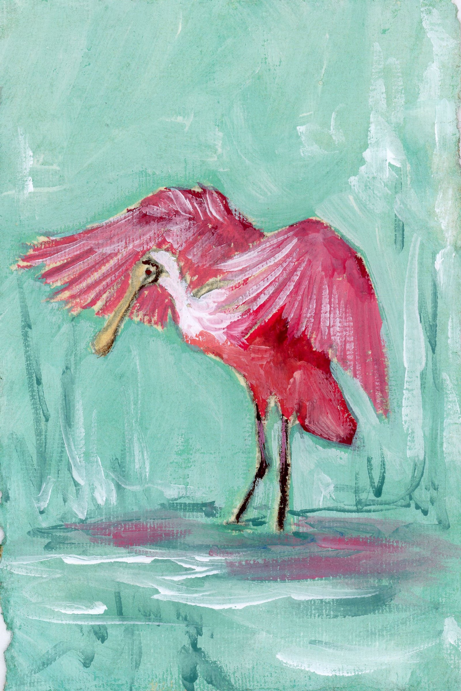 Clara Spoonbill